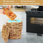 Woven Wicker Trash Can with Lid, Handwoven Boho Wastebasket for Bedroom, Bathroom, Office
