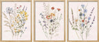 Framed Canvas Wall Art Set of 3, Watercolor Wildflower Botanical Prints for Living Room, Bedroom, Farmhouse Decor, Natural