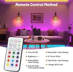 Boho Rattan Battery Operated Wall Sconces, Cordless Wireless Wall Lights with Remote, Set of 2