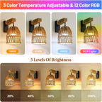 Boho Rattan Battery Operated Wall Sconces, Cordless Wireless Wall Lights with Remote, Set of 2